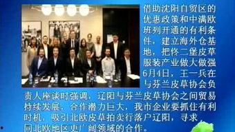 最新辽阳爆料事件新闻,揭秘背后真相与争议焦点