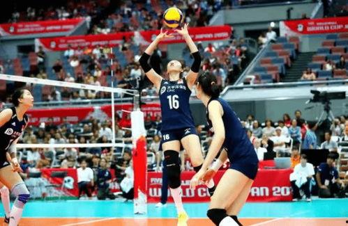 巴西女排爆料最新消息直播,揭秘备战奥运的幕后故事 第1张 巴西女排爆料最新消息直播,揭秘备战奥运的幕后故事 第1张